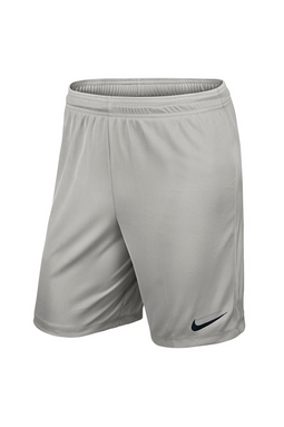 Nike Dri-FIT Shorts Grey - Luxivo