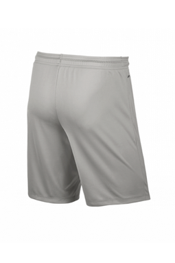 Nike Dri-FIT Shorts Grey